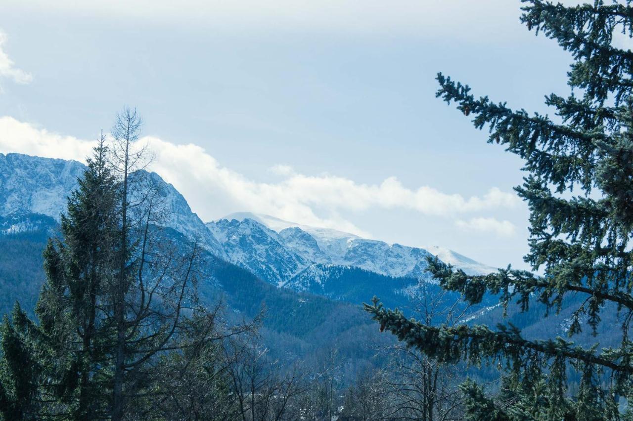 Aparthotel Delta Zakopane Eksteriør bilde